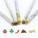 33688 - Plant-A-Pencil-Kit-SPS-02-02.jpg