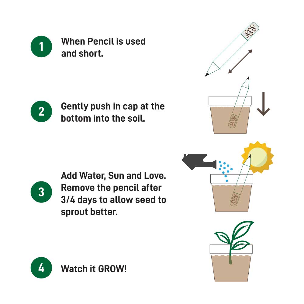 33688 - Plant-A-Pencil-Kit-SPS-02-03.jpg