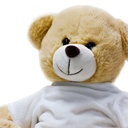 Plush Toy Teddy Bear 20CM STSG 9116169