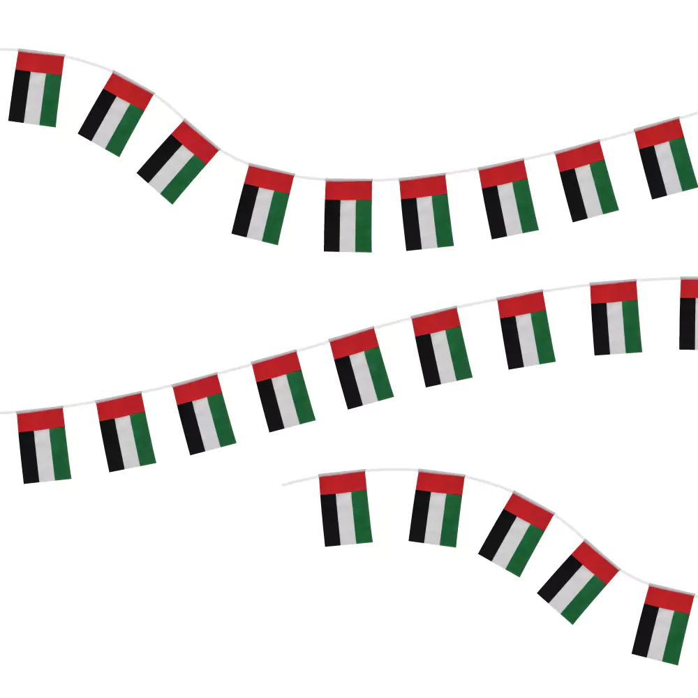47218 - UAE-Flag-Bunting-F-32-Main.webp