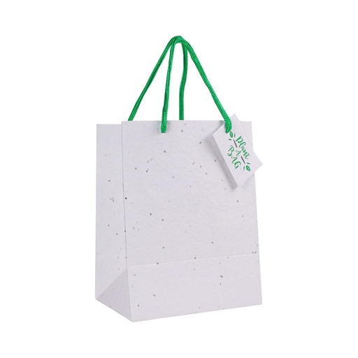 [SPS-07] Plantable Marigold Seed Paper Bags in A4 Size with Tag