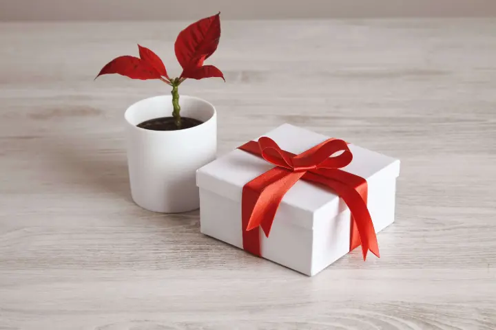 Customized Promotional Gifts UAE