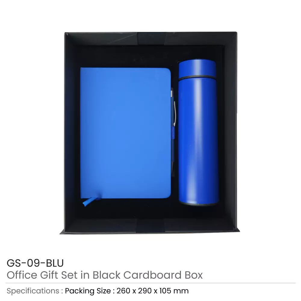 32537 - GS-09-BLU