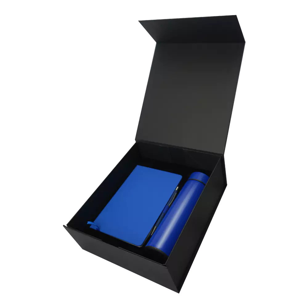 32537 - GS-09-BLU-2