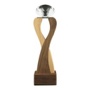 39878 - Wooden-Crystal-Trophy-CR-63-Blank