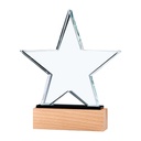 38617 - Star-Shape-Crystal-Awards-CR-55-Blank