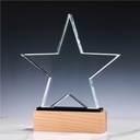 38617 - Star-Shape-Crystal-Awards-CR-55-02