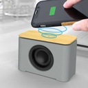 36612 - Wireless-Charger-BT-Speakers-MS-CW1-2.jpg