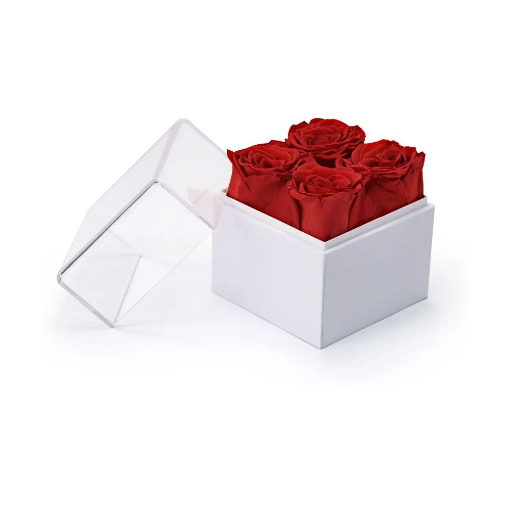 Forever Natural Flowers Gift Box White & Clear Acrylic Lid, 4Pcs Long Life Roses