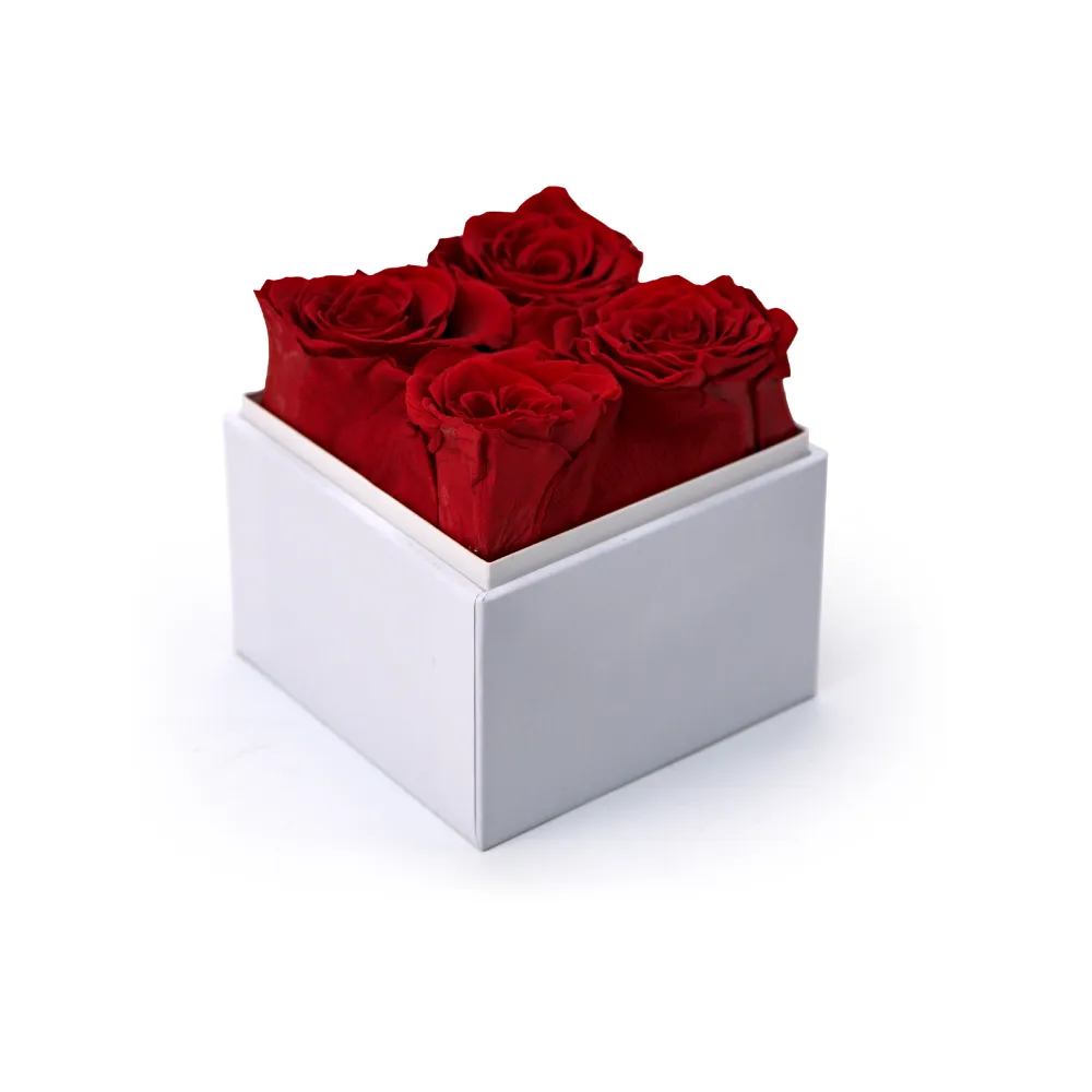 Forever Natural Flowers Gift Box White & Clear Acrylic Lid, 4Pcs Long Life Roses