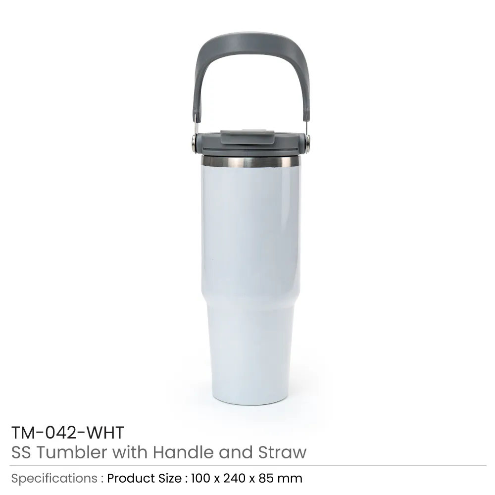 Tumbler with Handle and Straw SS Double Wall 900ml