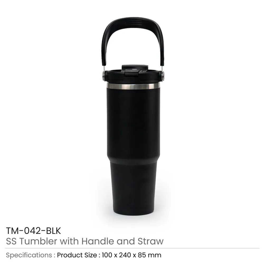 Tumbler with Handle and Straw SS Double Wall 900ml