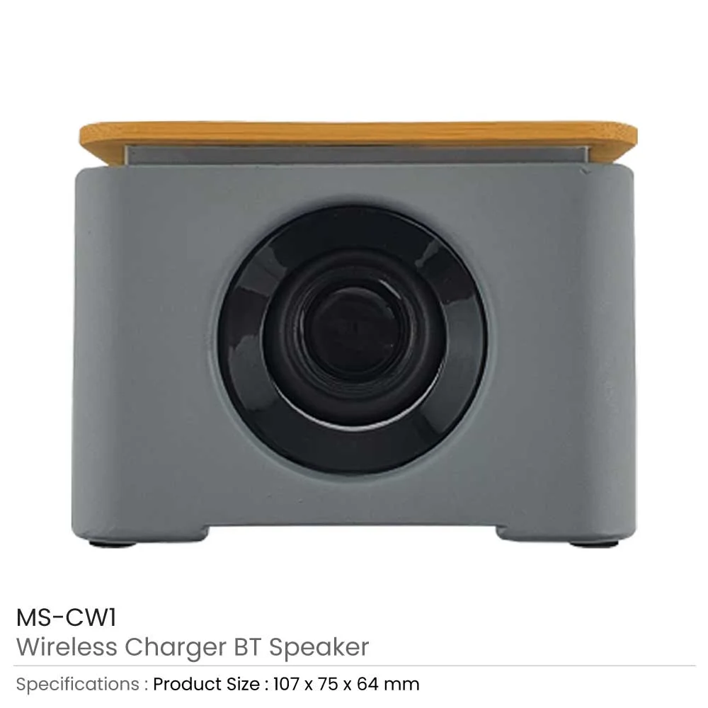 Wireless Charger BT Speaker