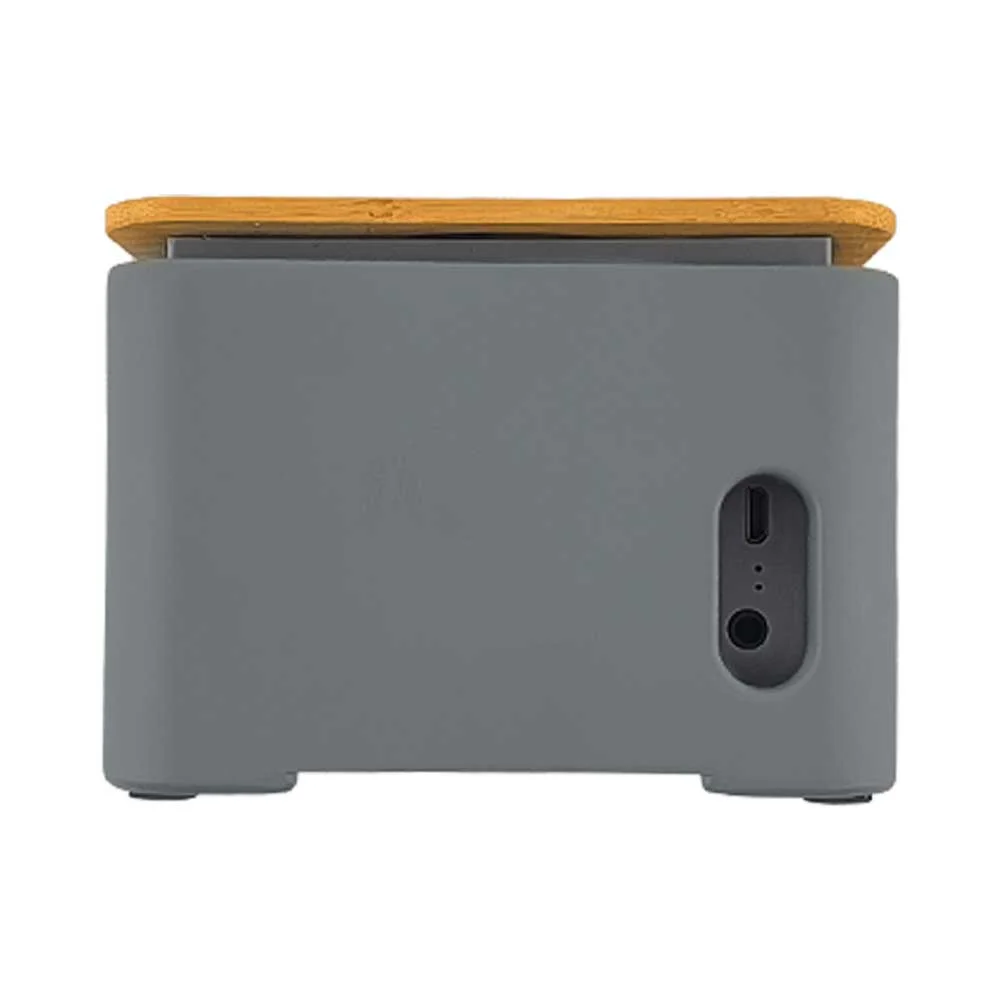 Wireless Charger BT Speaker