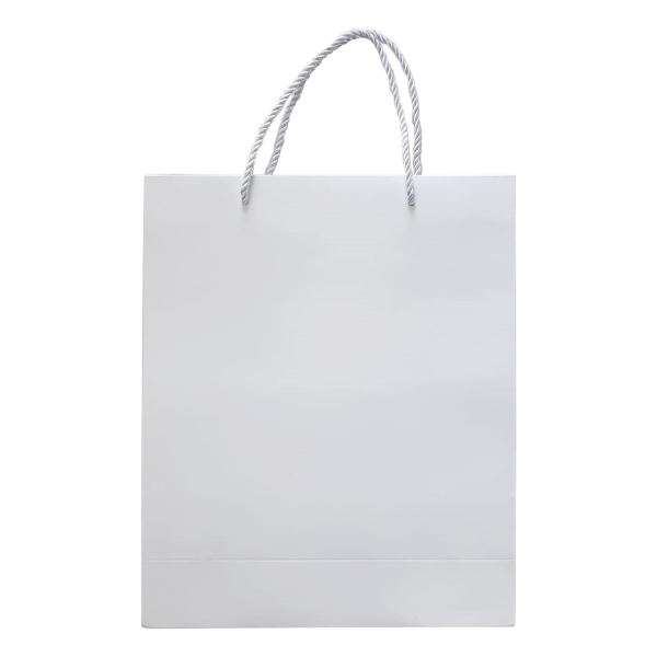 Ready Made Paper Bag A5 STWD 013