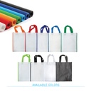 Non Woven Bag SNWB 5677