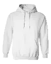 Subject: Hoodie Jacket STSD 202517