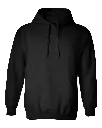 Subject: Hoodie Jacket STSD 202517