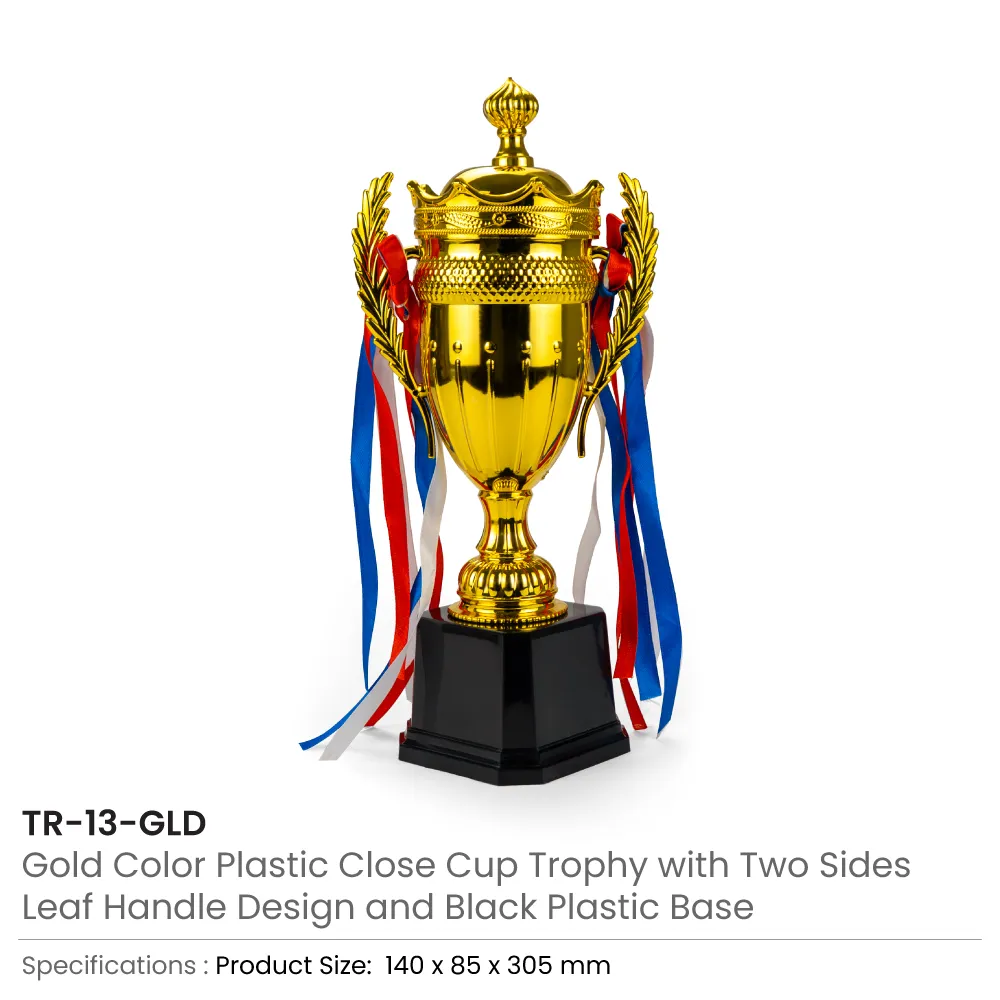 Small Cup Trophy with Removable Ribbon Attached to Both Handles