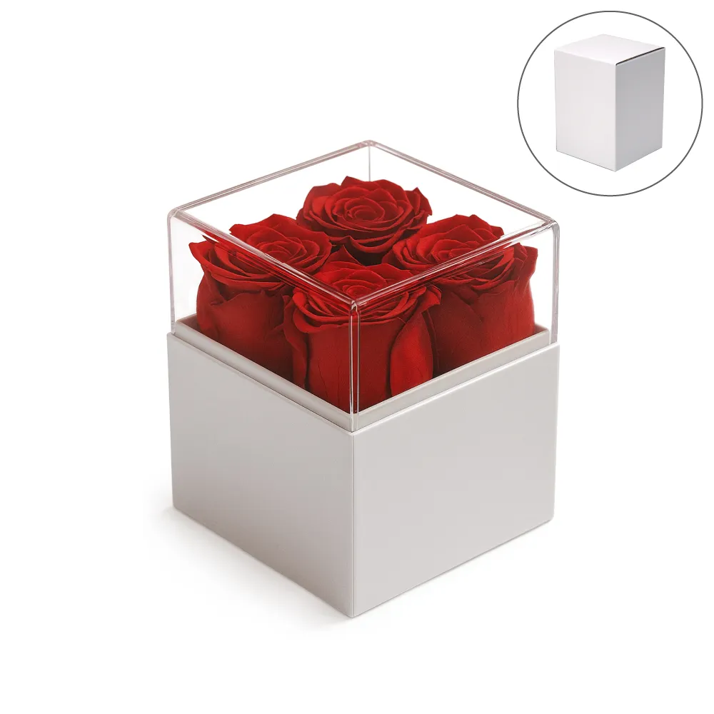 Forever Natural Flowers Gift Box White & Clear Acrylic Lid, 4Pcs Long Life Roses