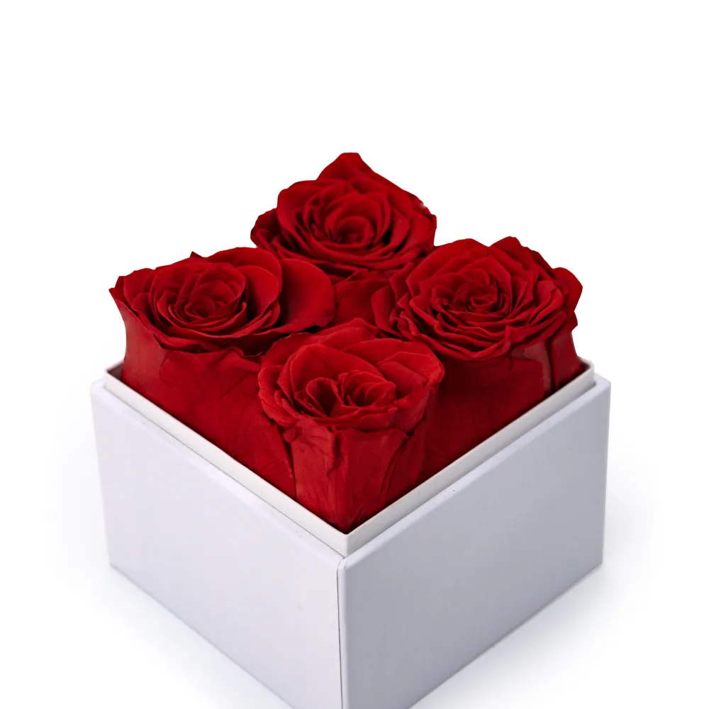 Forever Natural Flowers Gift Box White & Clear Acrylic Lid, 4Pcs Long Life Roses