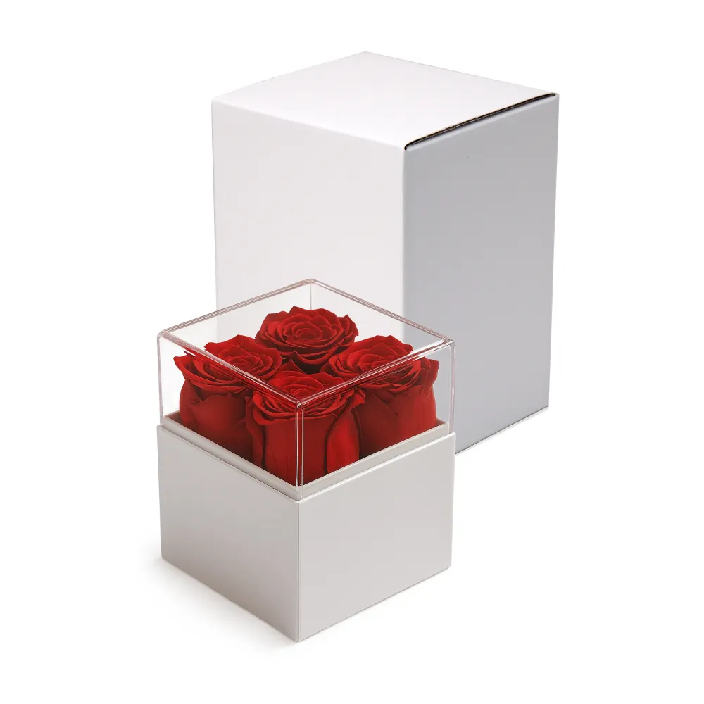 Forever Natural Flowers Gift Box White & Clear Acrylic Lid, 4Pcs Long Life Roses