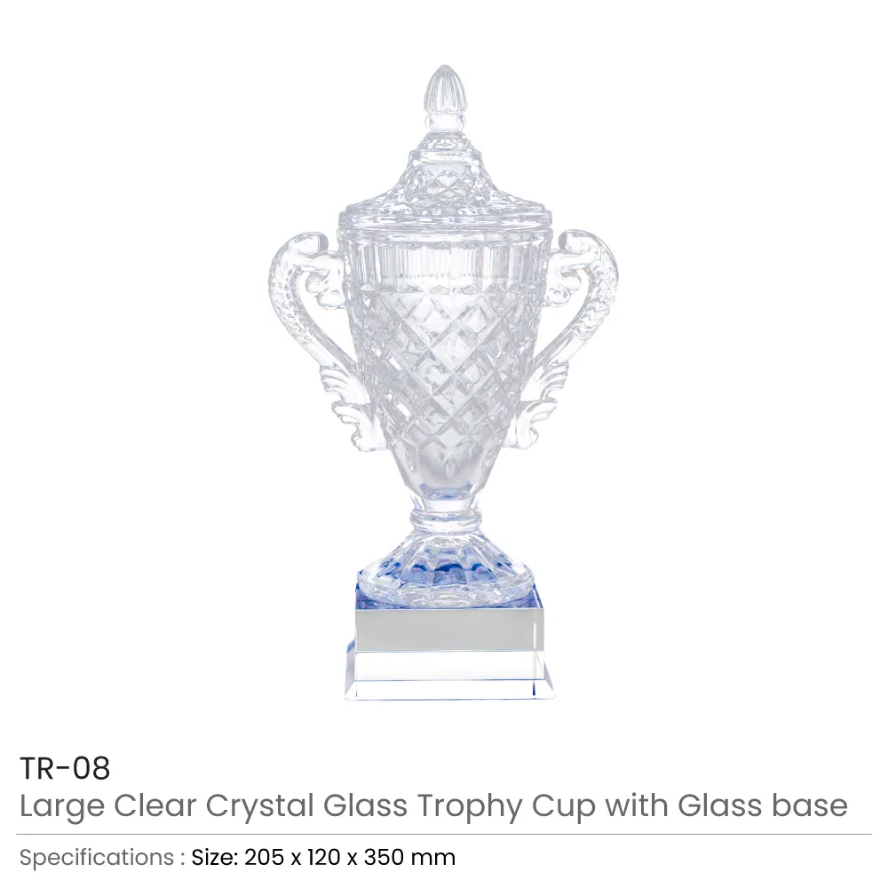 Large Crystal Glass Trophy Cup with Chocolate Gift Edition