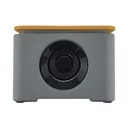Wireless Charger BT Speaker