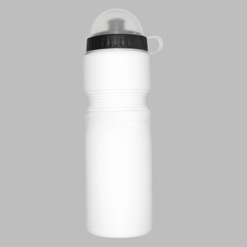 Water Bottle SWB 2020