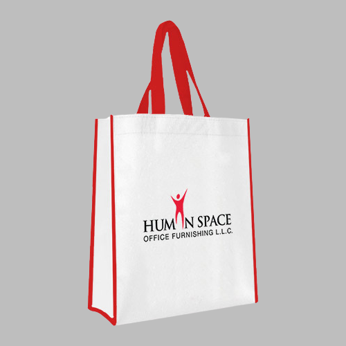 Non Woven Bag SNWB 5671