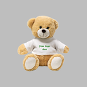 Plush Toy-Teddy Bear 20CM 