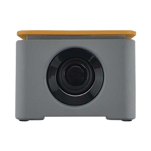 [MS-CW1] Wireless Charger BT Speaker