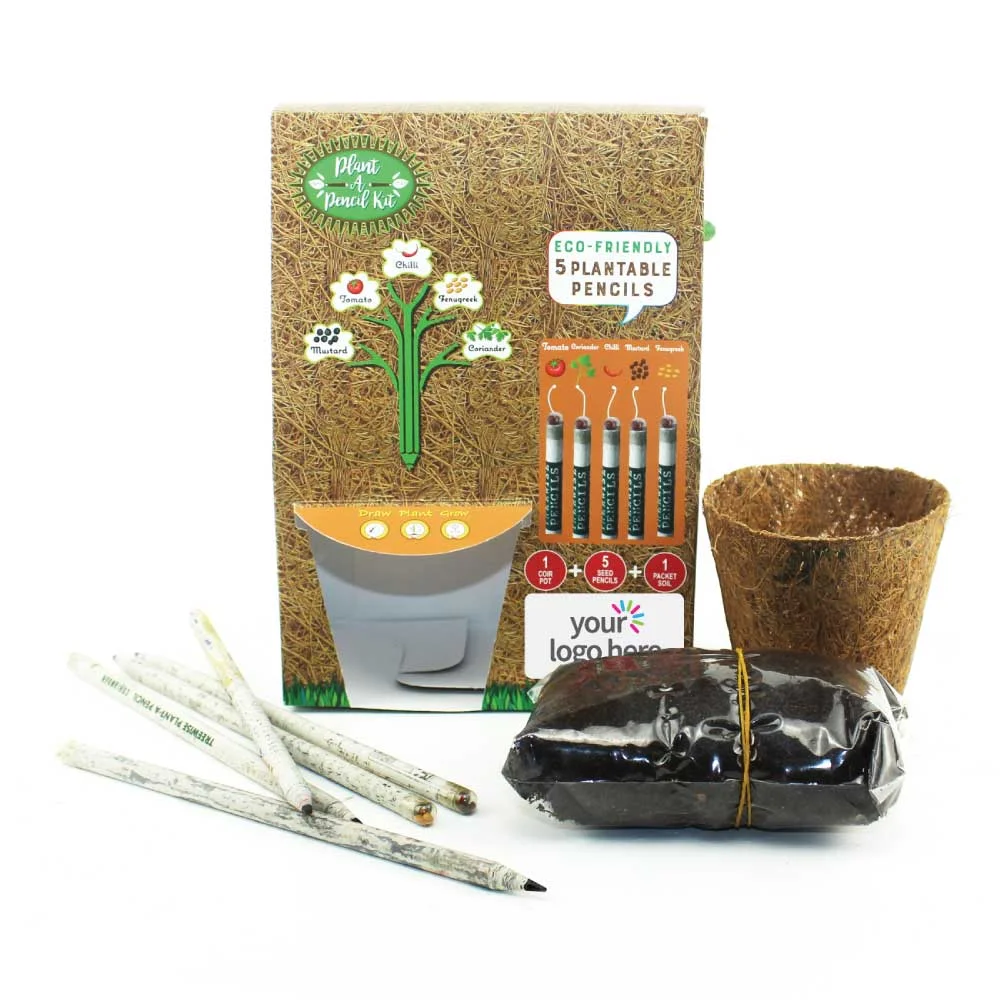 [STE3SPS-025] Plant A Pencil Kit