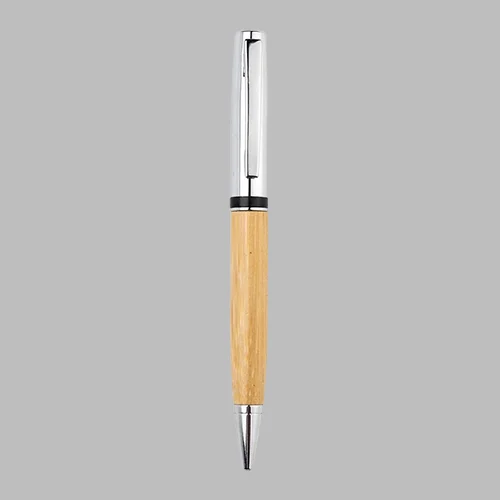 Bamboo Pen