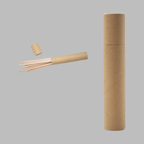 Color Pencil Set STDP 231911