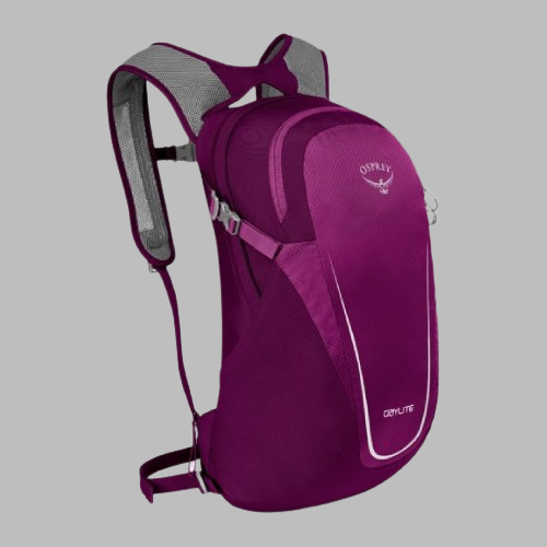 [10000415] Osprey Daylite Eggplant Purple 