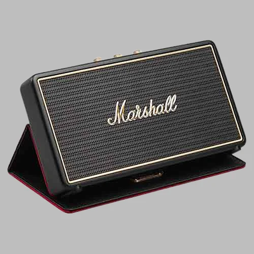 Stockwell  portable BT speaker with case