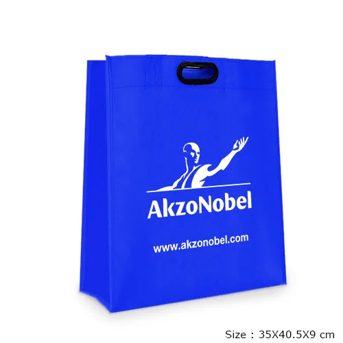 Non Woven Bag SNWB 5675