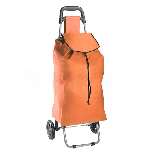 [STST 12] Shopping Trolley STST 12